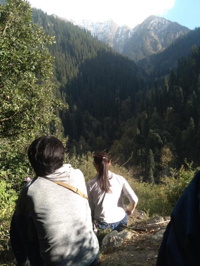 The Tirthan Eagle Nest, Tirthan Valley Jibhi Exterior foto